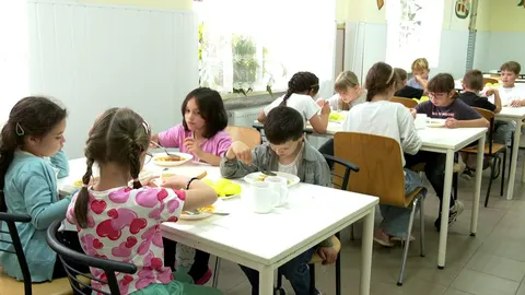 Гарячі обіди для 1200 учнів: як працює аутсорсинг харчування на Закарпатті