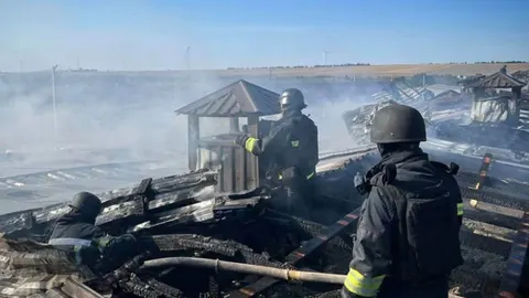 Атака на Одещину: постраждала ферма, загинула частина птиці