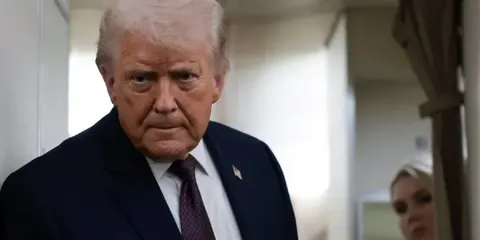 «MGGA»: Трамп привітав AfD з перемогою у Саксонії-Ангальт