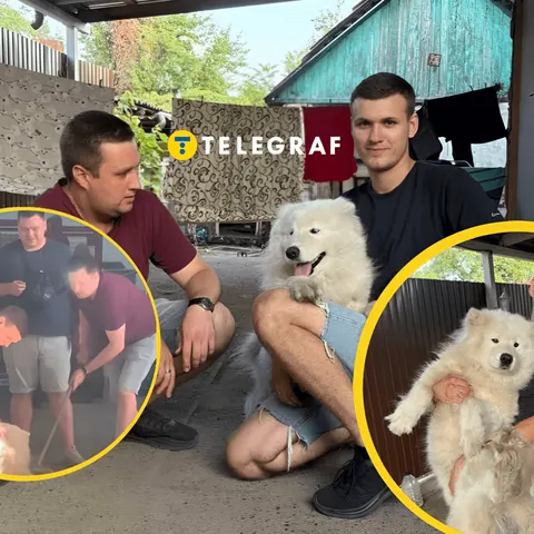 Скандал із собакою у «Новій пошті»: компанія показала фото з працівниками і отримала нову хвилю крит