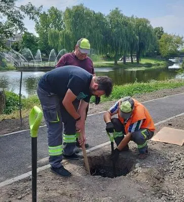 У Рівному вздовж Усті встановили сонячне освітлення