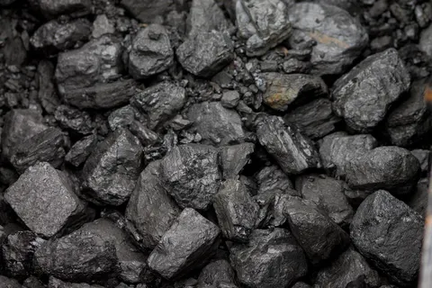 У Запоріжжі посадовців підозрюють у постачанні неякісного вугілля інтернату на 3
