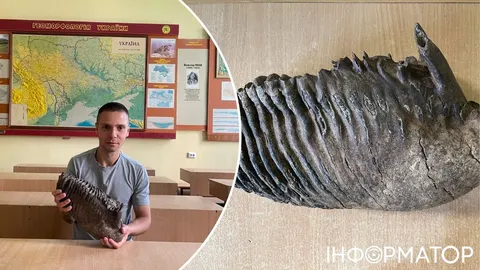 Зуб мамонта з Дністра передали львівським географам