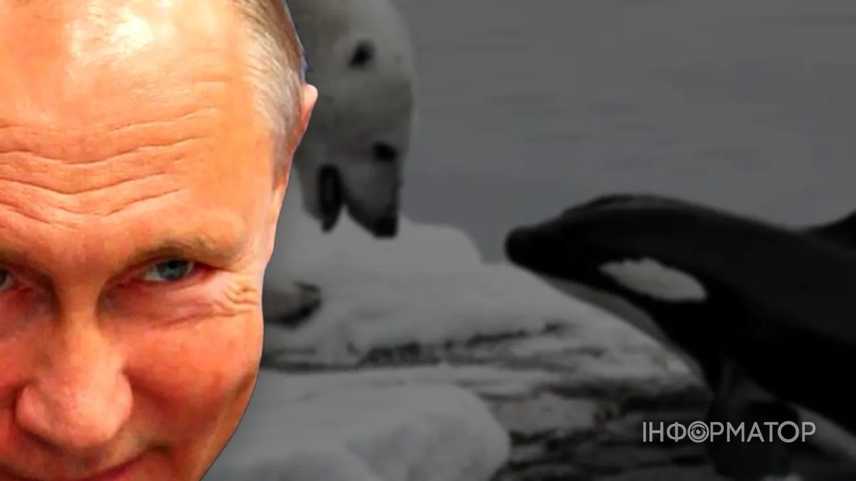 Путін порівняв війну з полюванням косаток на білих ведмедів