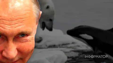 Путін порівняв війну з полюванням косаток на білих ведмедів