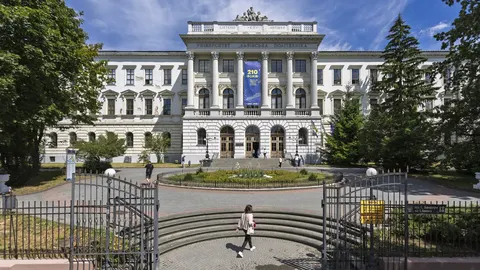 НМТ-2026: які слабкі місця шкільної освіти виявило тестування