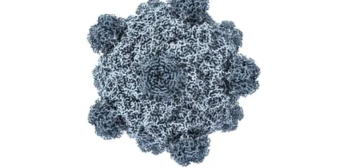 ШІ створив віруси, яких не існує в природі: що це означає