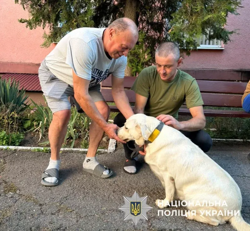 Умка та Асті: як чотирилапі терапевти з Буковини повертають захисникам радість життя