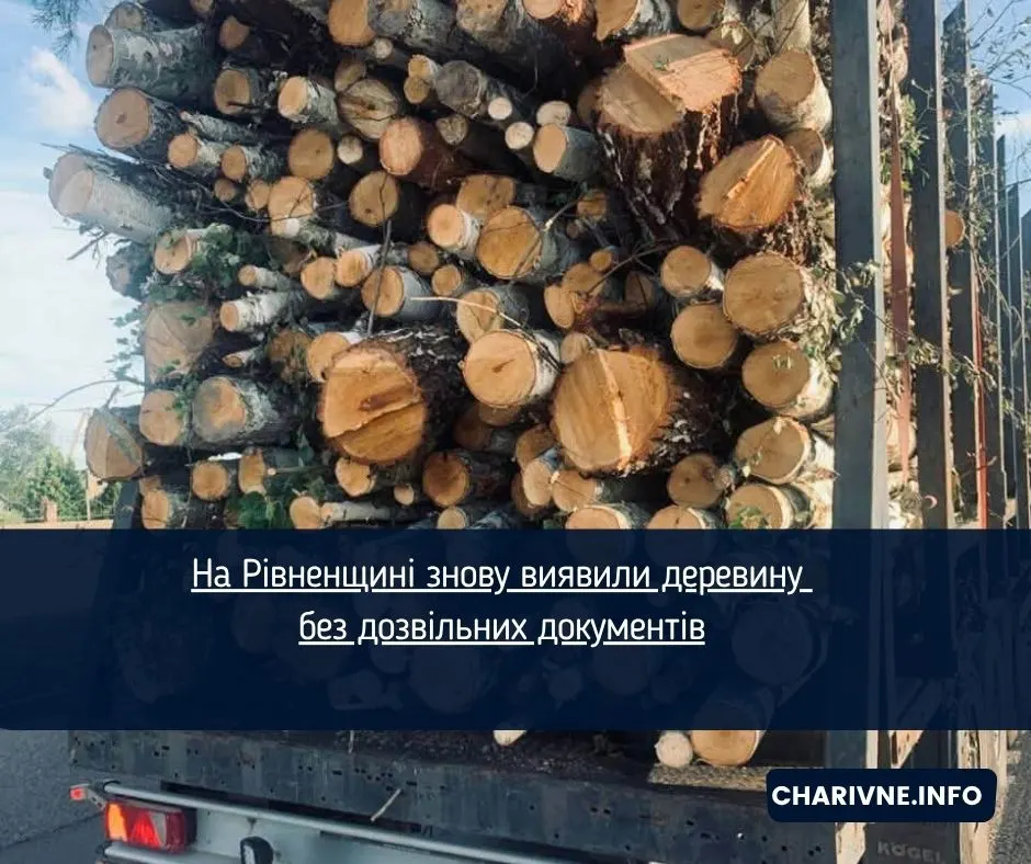 На Рівненщині поліція зупинила дві вантажівки з деревиною без документів