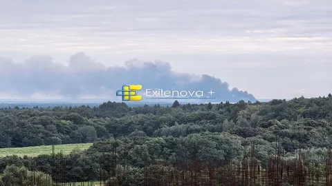Удар по складу Wildberries і університету в Бєлгороді: деталі