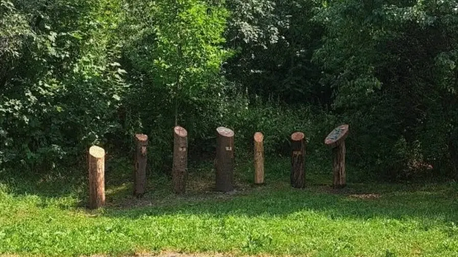 У львівському парку «Знесіння» відкрили освітню галявину для визначення віку дерев