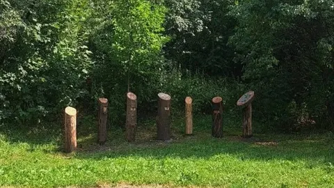 У львівському парку «Знесіння» відкрили освітню галявину для визначення віку дерев