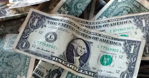 Куди зникають зношені долари: переробка замість спалення